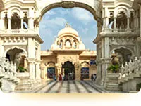 Tours & Package