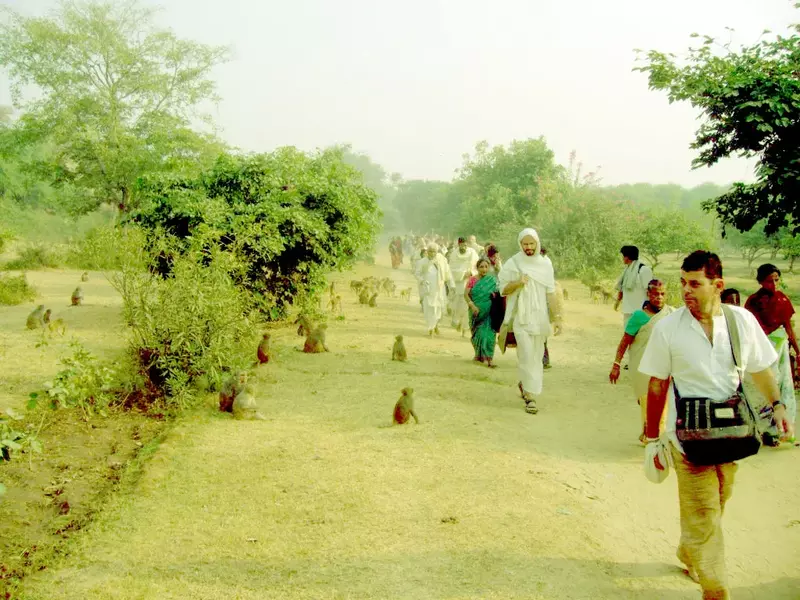 Clean Govardhan Parikrama Path Seva (Monthly) Clean Govardhan Parikrama Path Seva (Monthly)