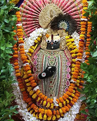 Govardhan Giriraj Ji - Phool Bangla Govardhan Giriraj Ji - Phool Bangla