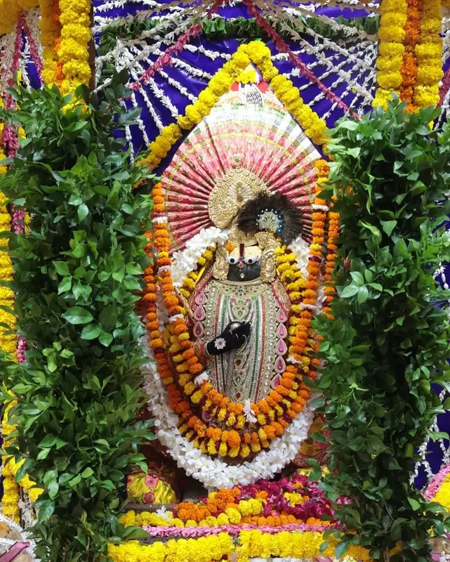 Govardhan Giriraj Ji - Phool Bangla Govardhan Giriraj Ji - Phool Bangla