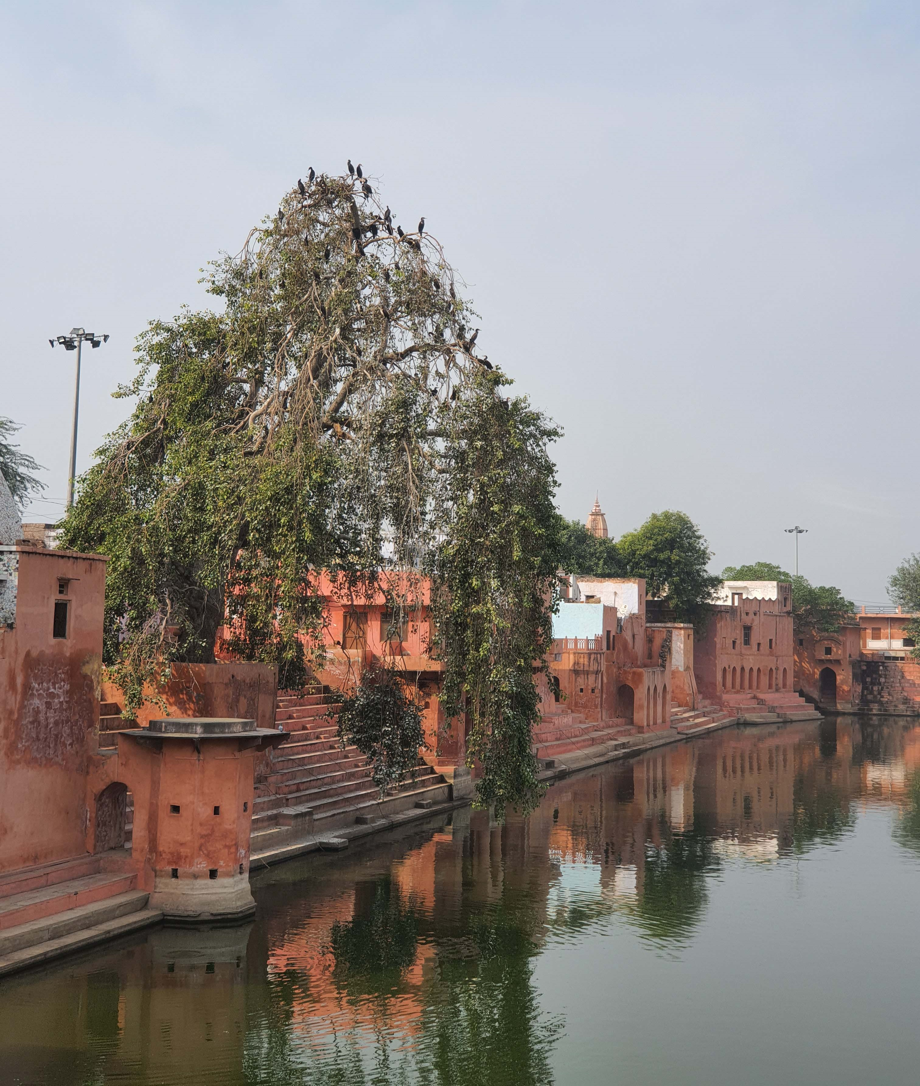 Kamvan Sightseeing Kamvan Sightseeing