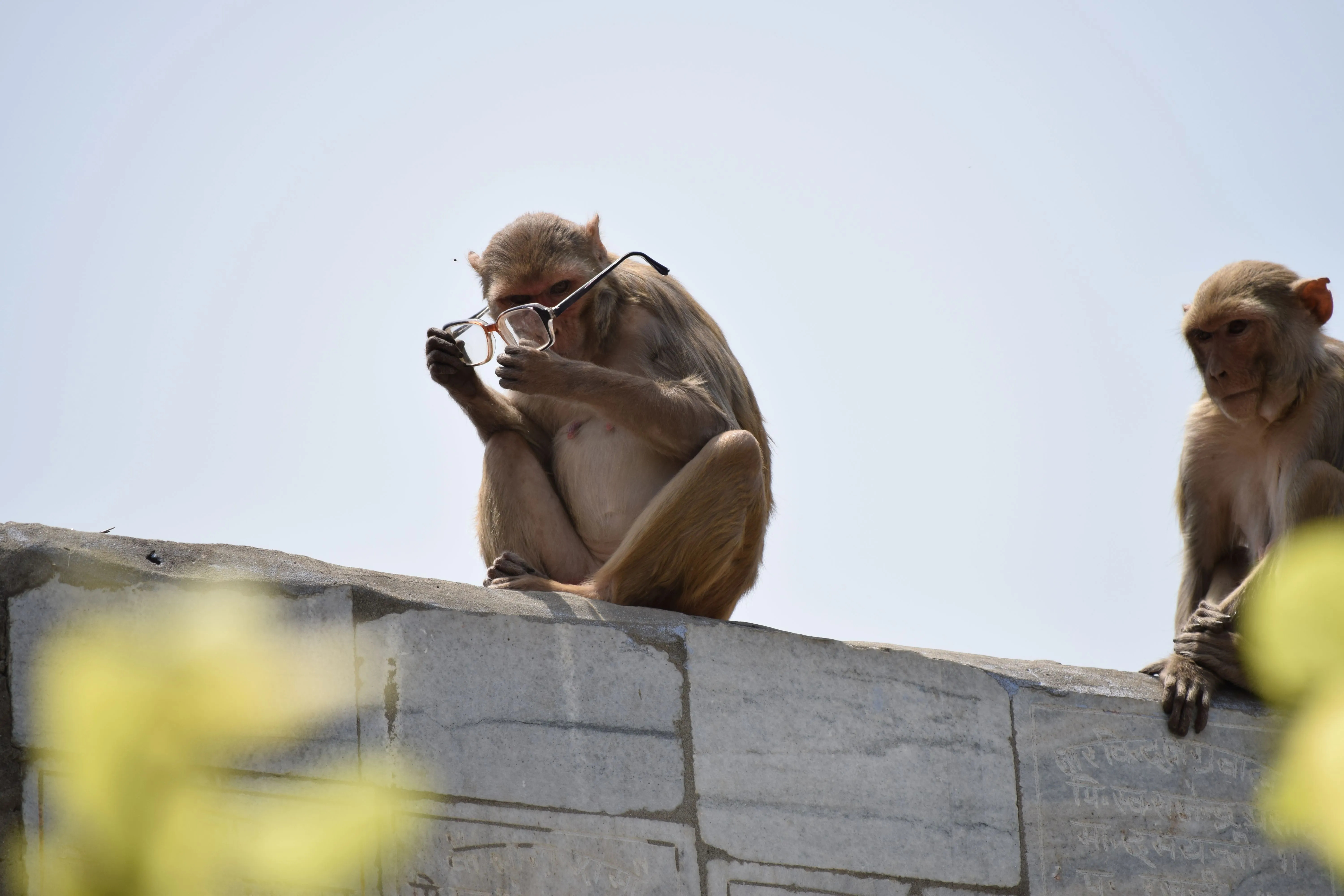 Divine Vrindavan Getaway Divine Vrindavan Getaway
