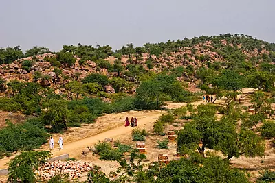 Govardhan Parikrama Special Govardhan Parikrama Special