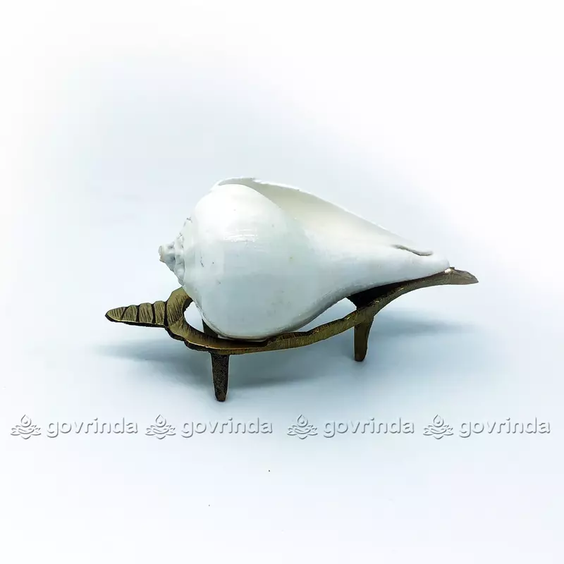 Puja Shankha or Jal Sankha / Pani Wala Shankh for Pooja, Aarti, Original White Conch Shells with Brass Sankha Stand (Pack of 1 Set) Puja Shankha or Jal Sankha / Pani Wala Shankh for Pooja, Aarti, Original White Conch Shells with Brass Sankha Stand (Pack of 1 Set)