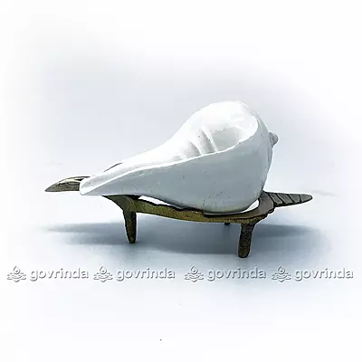 Puja Shankha or Jal Sankha / Pani Wala Shankh for Pooja, Aarti, Original White Conch Shells with Brass Sankha Stand (Pack of 1 Set) Puja Shankha or Jal Sankha / Pani Wala Shankh for Pooja, Aarti, Original White Conch Shells with Brass Sankha Stand (Pack of 1 Set)