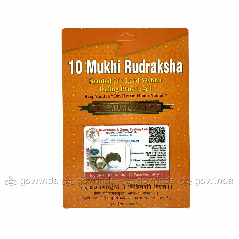 10 Mukhi Rudraksha Nepali/Ten Faced Rudraksha Pendant Original Certified 10 Mukhi Rudraksha Nepali/Ten Faced Rudraksha Pendant Original Certified