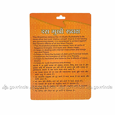 10 Mukhi Rudraksha Nepali/Ten Faced Rudraksha Pendant Original Certified 10 Mukhi Rudraksha Nepali/Ten Faced Rudraksha Pendant Original Certified