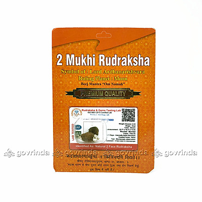 2 Mukhi Rudraksha Original Certified Bead - Natural Indian 2 Mukhi Rudraks for Meditation and Prayer, Protection, Chakra Balancing 2 Mukhi Rudraksha Original Certified Bead - Natural Indian 2 Mukhi Rudraks for Meditation and Prayer, Protection, Chakra Balancing