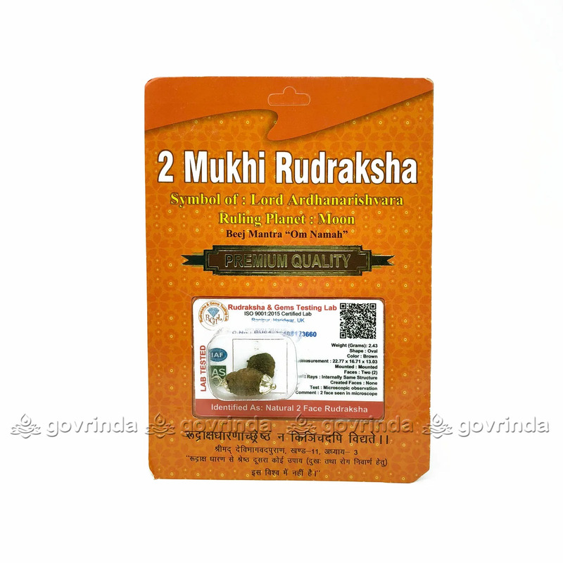 2 Mukhi Rudraksha Original Certified Bead - Natural Indian 2 Mukhi Rudraks for Meditation and Prayer, Protection, Chakra Balancing 2 Mukhi Rudraksha Original Certified Bead - Natural Indian 2 Mukhi Rudraks for Meditation and Prayer, Protection, Chakra Balancing
