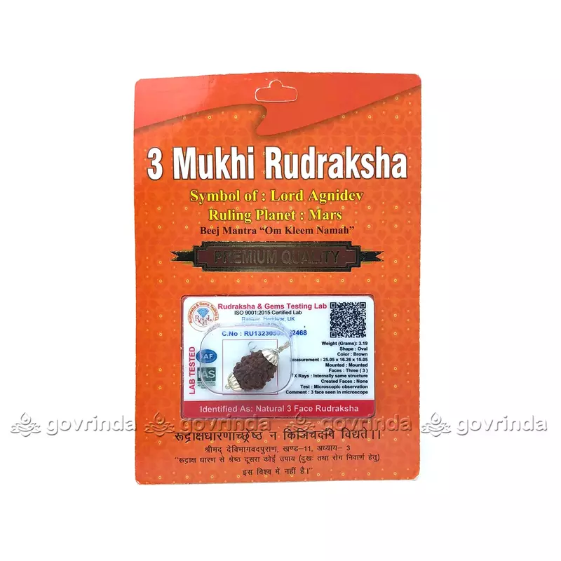 3 Mukhi Rudraksha 3 Mukhi Rudraksha