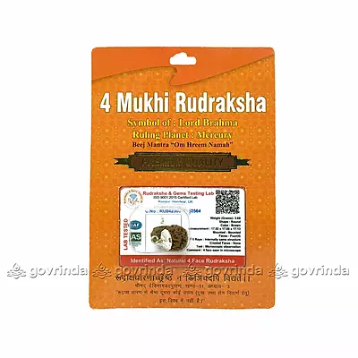 4 Mukhi Rudraksha 4 Mukhi Rudraksha