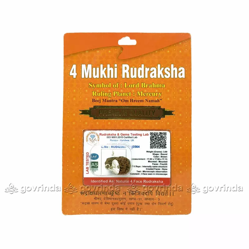 4 Mukhi Rudraksha 4 Mukhi Rudraksha