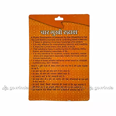4 Mukhi Rudraksha 4 Mukhi Rudraksha