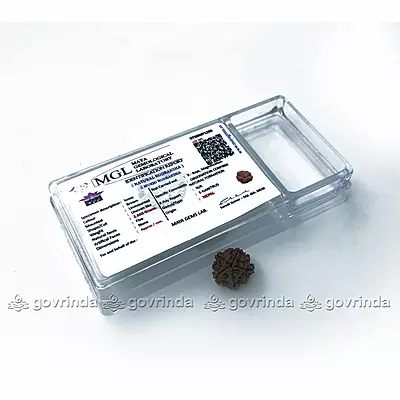 5 Mukhi Rudraksha 5 Mukhi Rudraksha