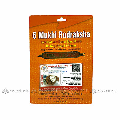 6 Mukhi Rudraksha 6 Mukhi Rudraksha