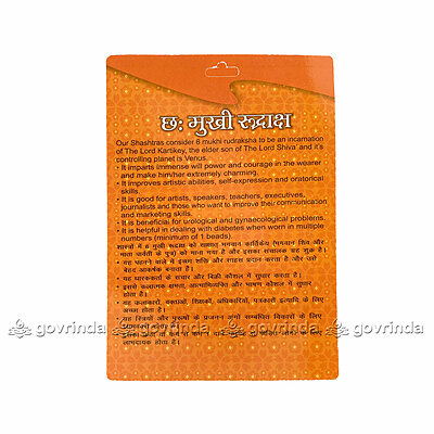 6 Mukhi Rudraksha 6 Mukhi Rudraksha