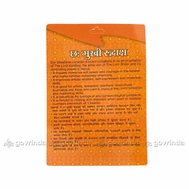 6 Mukhi Rudraksha 6 Mukhi Rudraksha